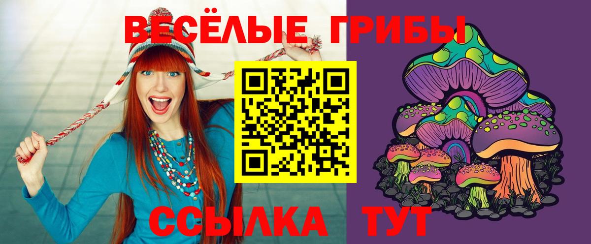 Псилоцибиновые грибы Psilocybe Ливны
