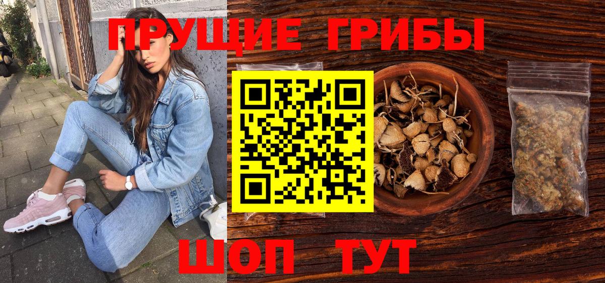 Ливны  Псилоцибиновые грибы прущие грибы  Галлюциногенные грибы прущие грибы  Вход с VPN 